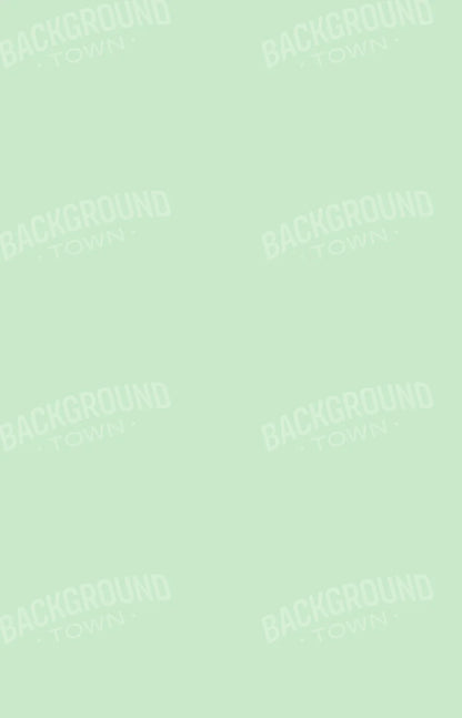 Pistachio 8X12 Ultracloth ( 96 X 144 Inch ) Backdrop