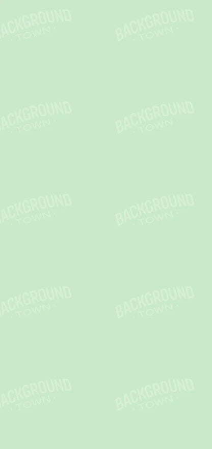 Pistachio 8X16 Ultracloth ( 96 X 192 Inch ) Backdrop