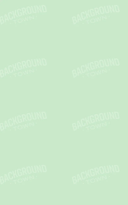 Pistachio 9X14 Ultracloth ( 108 X 168 Inch ) Backdrop