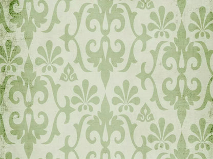 Pistachio 68X5 Fleece ( 80 X 60 Inch ) Backdrop