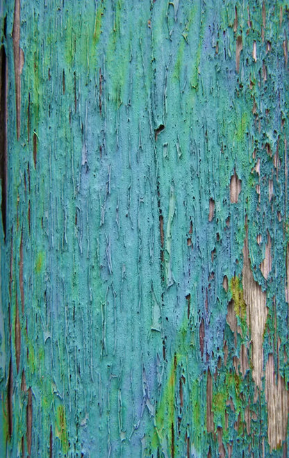Plaint 10X16 Ultracloth ( 120 X 192 Inch ) Backdrop