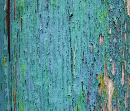 Plaint 12X10 Ultracloth ( 144 X 120 Inch ) Backdrop
