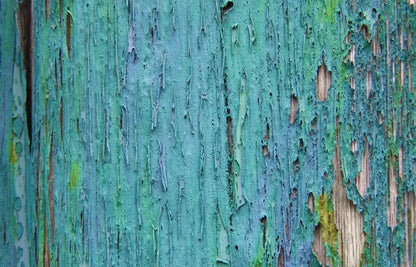 Plaint 12X8 Ultracloth ( 144 X 96 Inch ) Backdrop