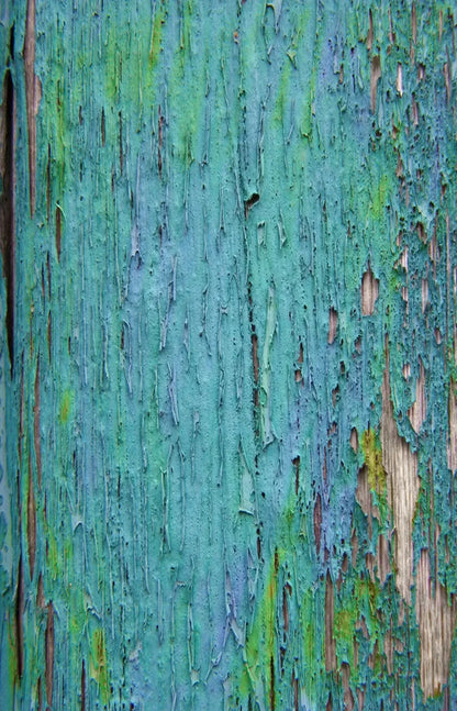 Plaint 8X12 Ultracloth ( 96 X 144 Inch ) Backdrop