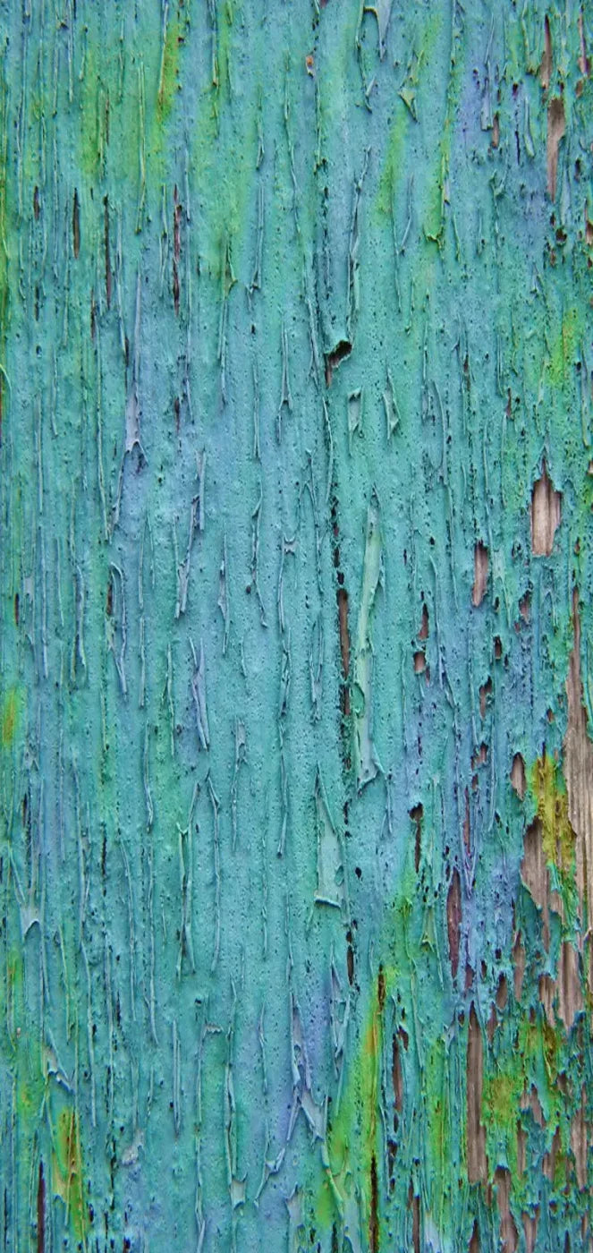 Plaint 8X16 Ultracloth ( 96 X 192 Inch ) Backdrop