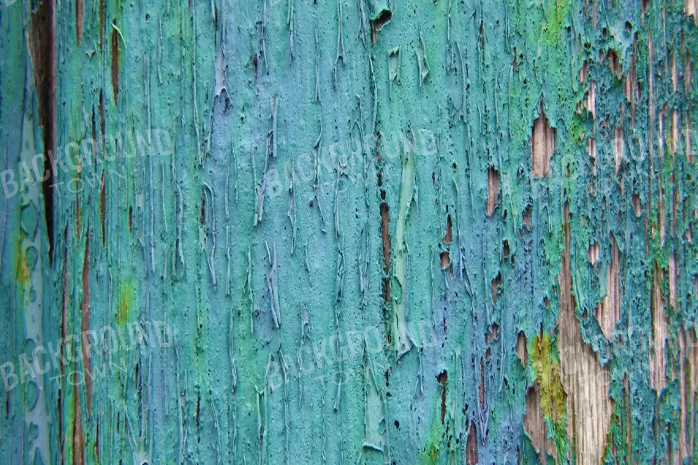 Plaint 8X5 Ultracloth ( 96 X 60 Inch ) Backdrop