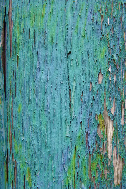 Plaint Backdrop