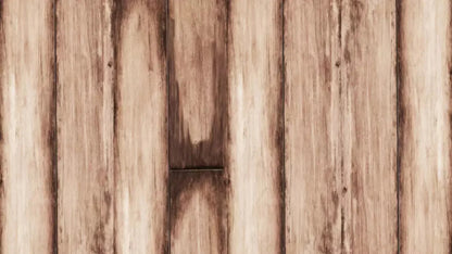 Planks 14X8 Ultracloth ( 168 X 96 Inch ) Backdrop