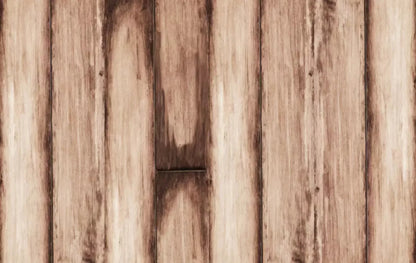 Planks 16X10 Ultracloth ( 192 X 120 Inch ) Backdrop