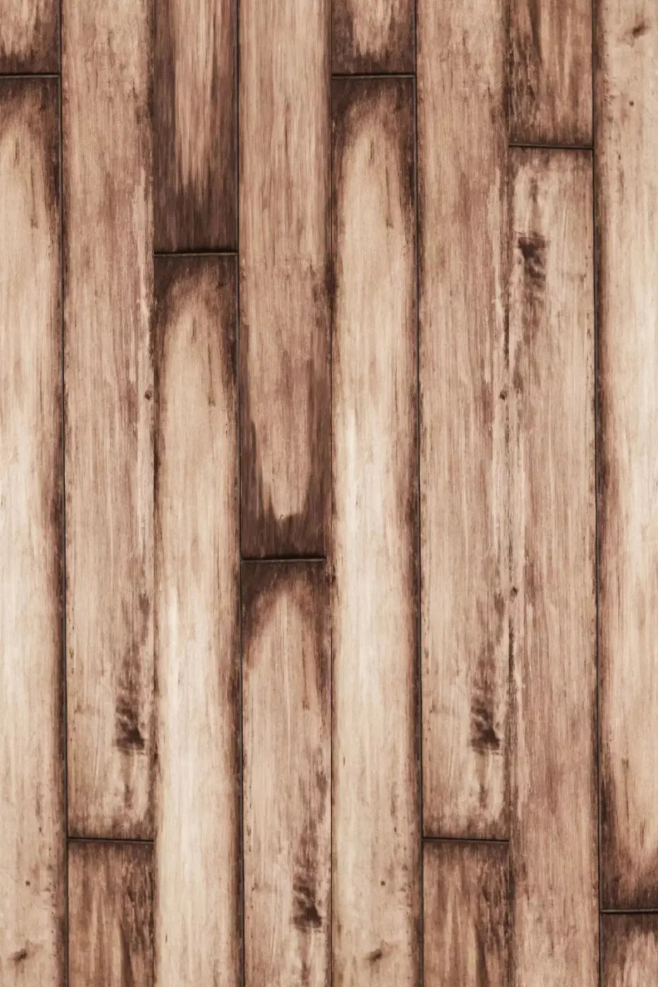 Planks Backdrop