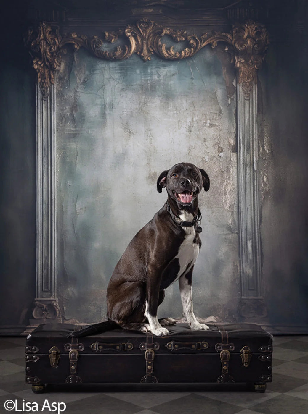 Plaster Wall Dark Victorian Backdrop