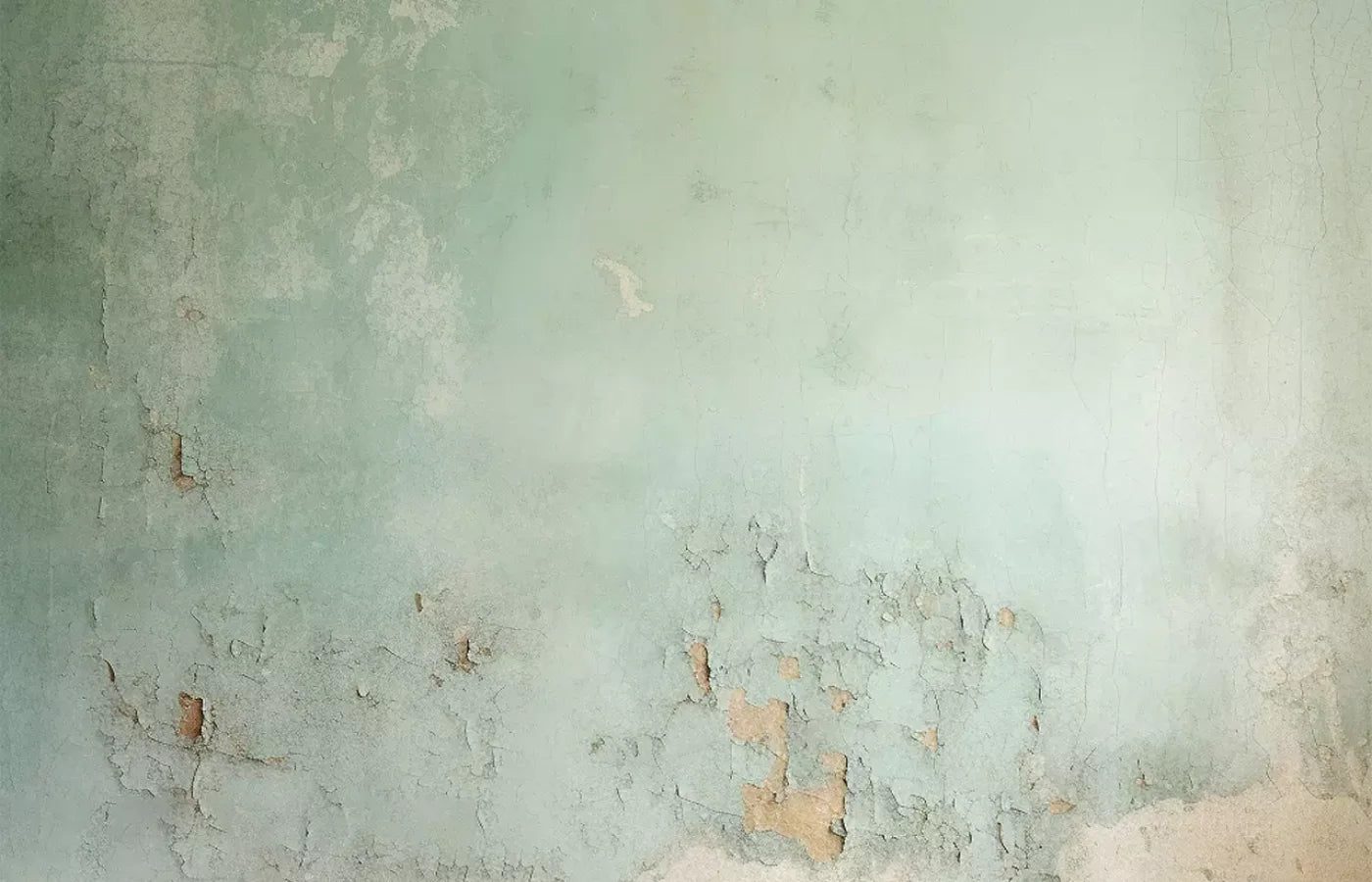 Plaster Wall Green I 14’X9’ Ultracloth (168 X 108 Inch) Backdrop