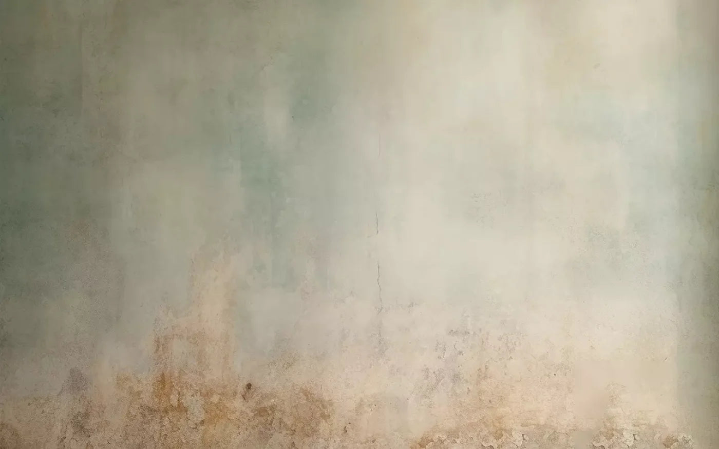 Plaster Wall Green Ii 16’X10’ Ultracloth (192 X 120 Inch) Backdrop