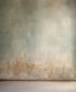 Wall , Green , Brown  Backdrop for Photography