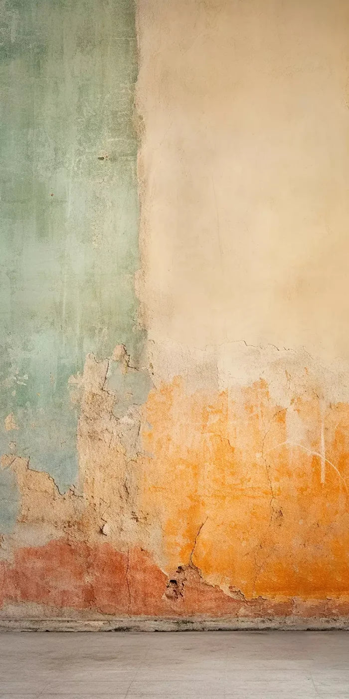Plaster Wall Multi I 10’X20’ Ultracloth (120 X 240 Inch) Backdrop