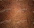 Burnt Orange  Backdrop for Photography
