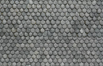 Plated 12X8 Ultracloth ( 144 X 96 Inch ) Backdrop