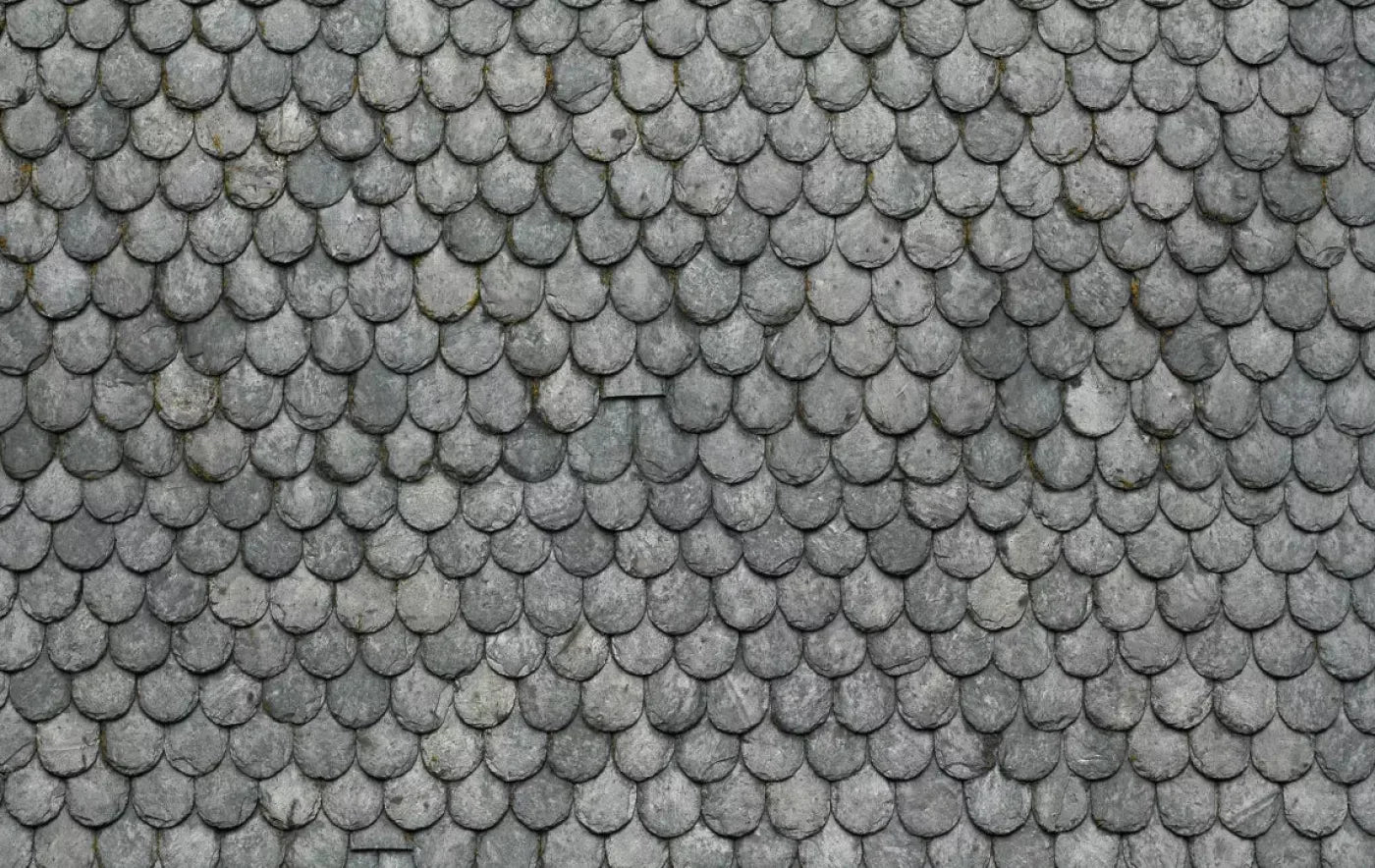 Plated 16X10 Ultracloth ( 192 X 120 Inch ) Backdrop