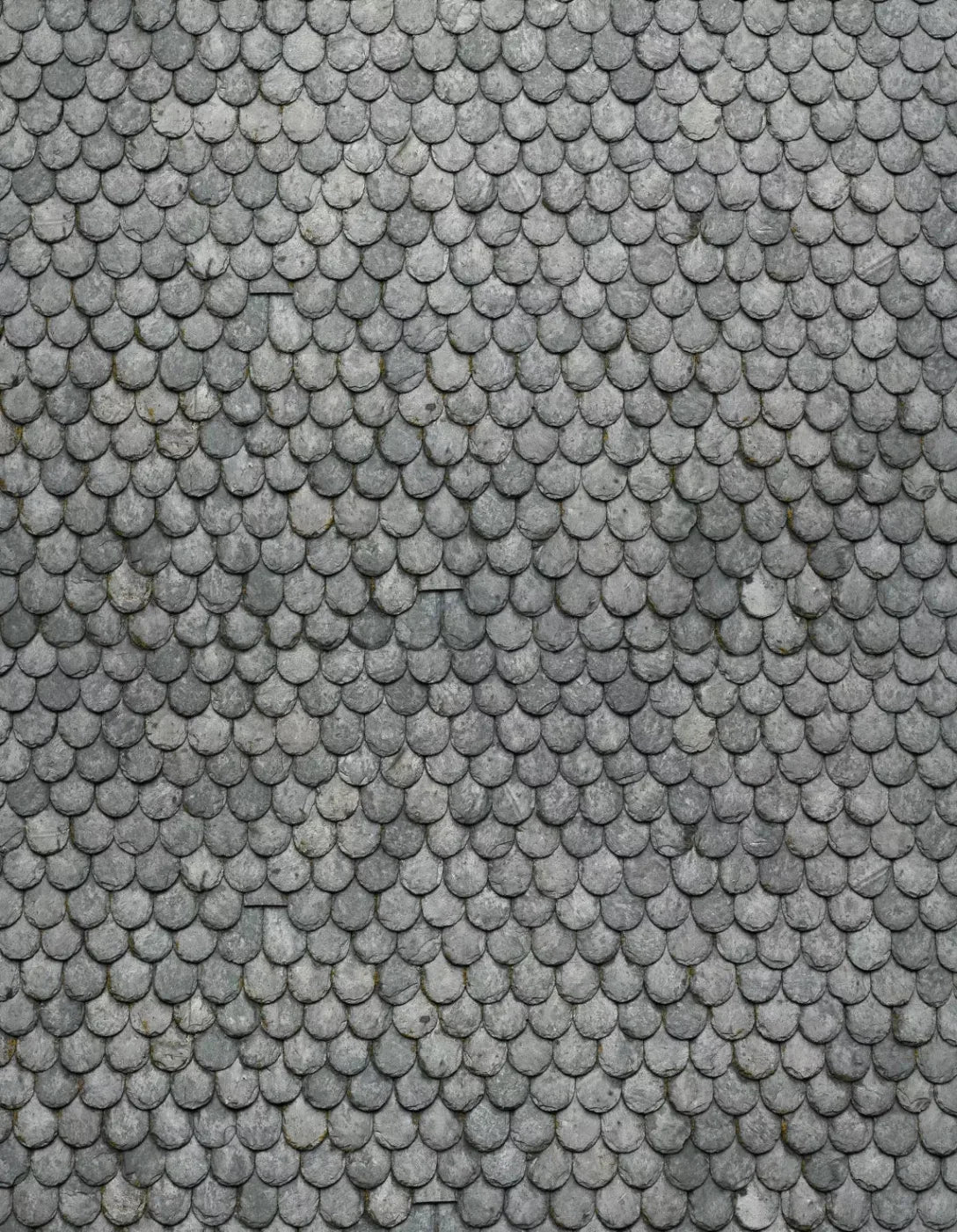 Plated 6X8 Fleece ( 72 X 96 Inch ) Backdrop