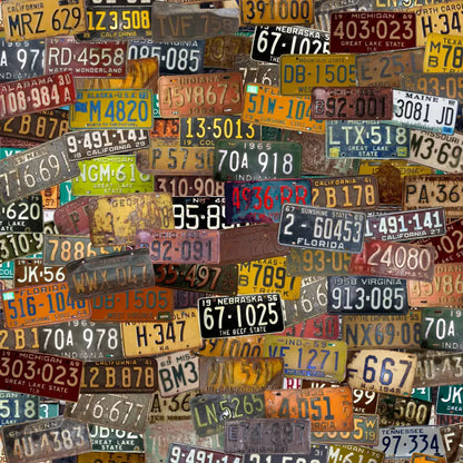 Plates 10X10 Ultracloth ( 120 X Inch ) Backdrop