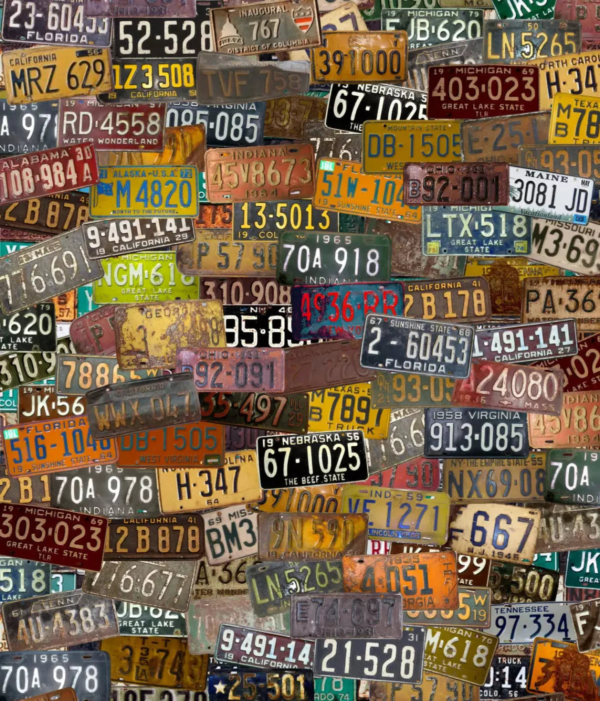 Plates 10X12 Ultracloth ( 120 X 144 Inch ) Backdrop