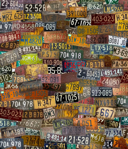 Plates 10X12 Ultracloth ( 120 X 144 Inch ) Backdrop
