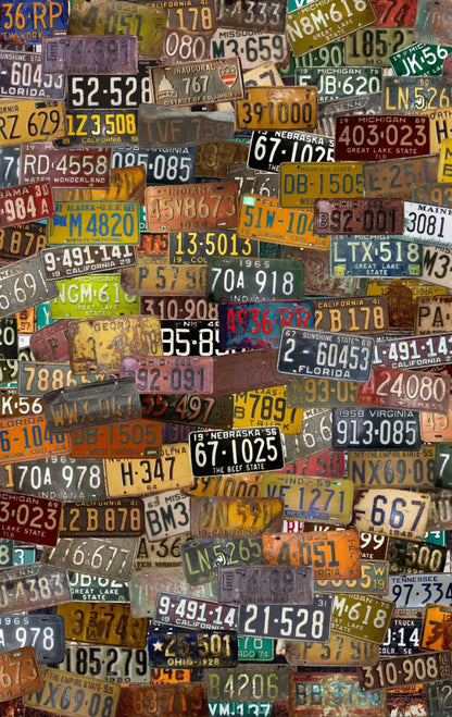 Plates 10X16 Ultracloth ( 120 X 192 Inch ) Backdrop