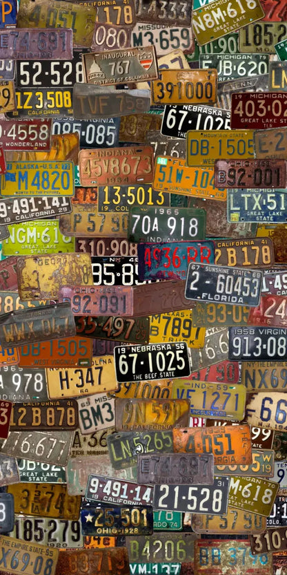Plates 10X20 Ultracloth ( 120 X 240 Inch ) Backdrop