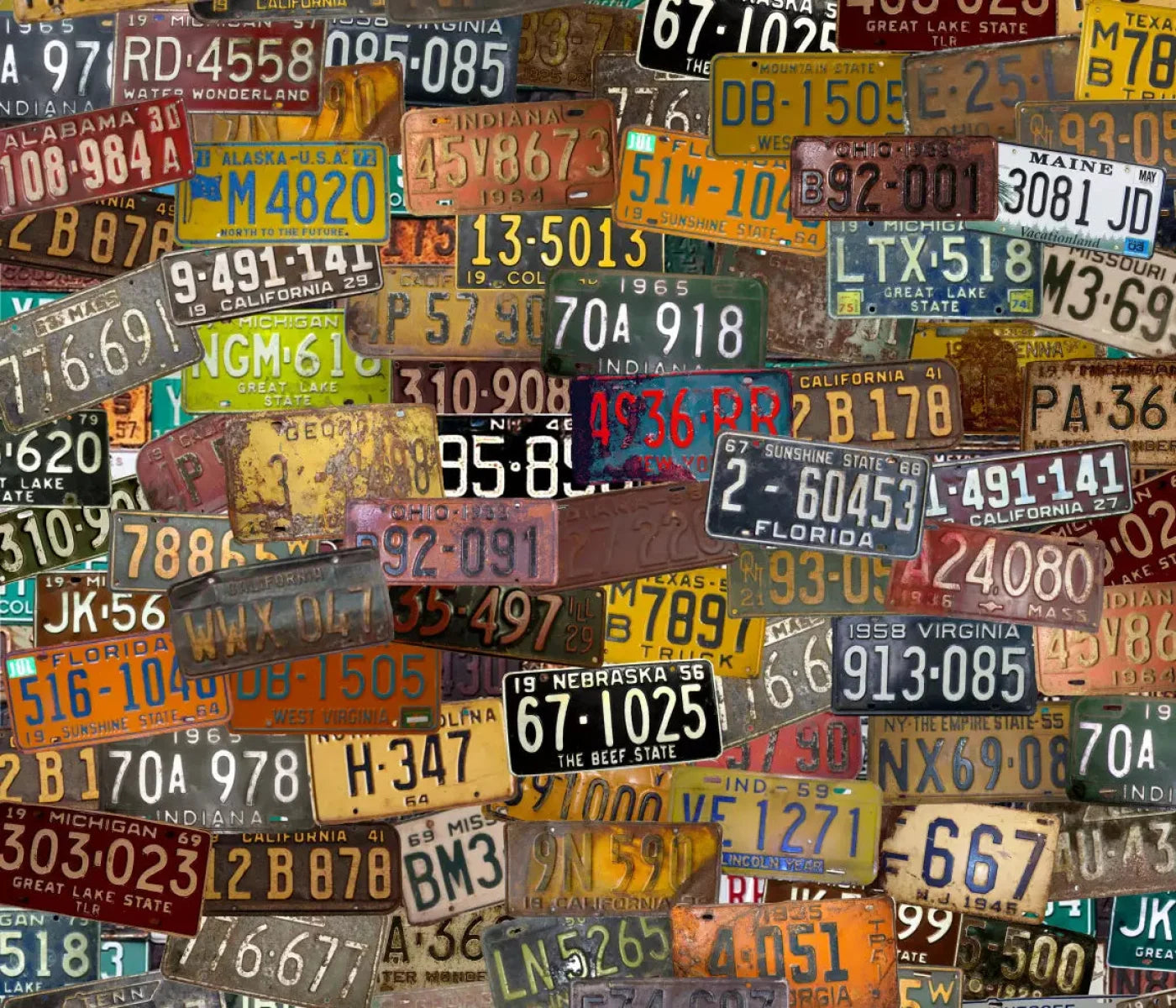 Plates 12X10 Ultracloth ( 144 X 120 Inch ) Backdrop