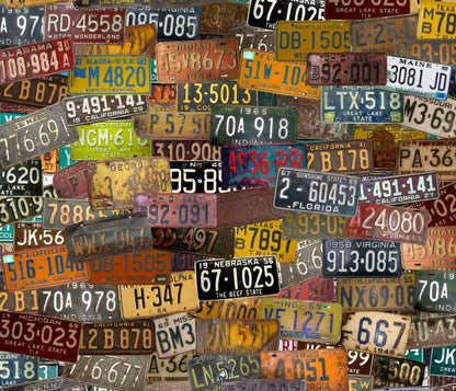 Plates 12X10 Ultracloth ( 144 X 120 Inch ) Backdrop