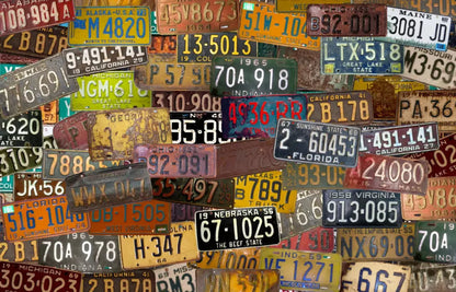 Plates 12X8 Ultracloth ( 144 X 96 Inch ) Backdrop