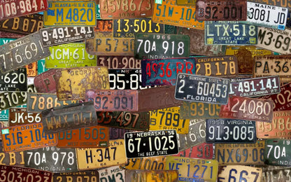Plates 14X9 Ultracloth ( 168 X 108 Inch ) Backdrop