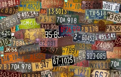 Plates 16X10 Ultracloth ( 192 X 120 Inch ) Backdrop