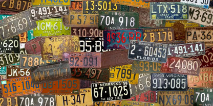 Plates 20X10 Ultracloth ( 240 X 120 Inch ) Backdrop