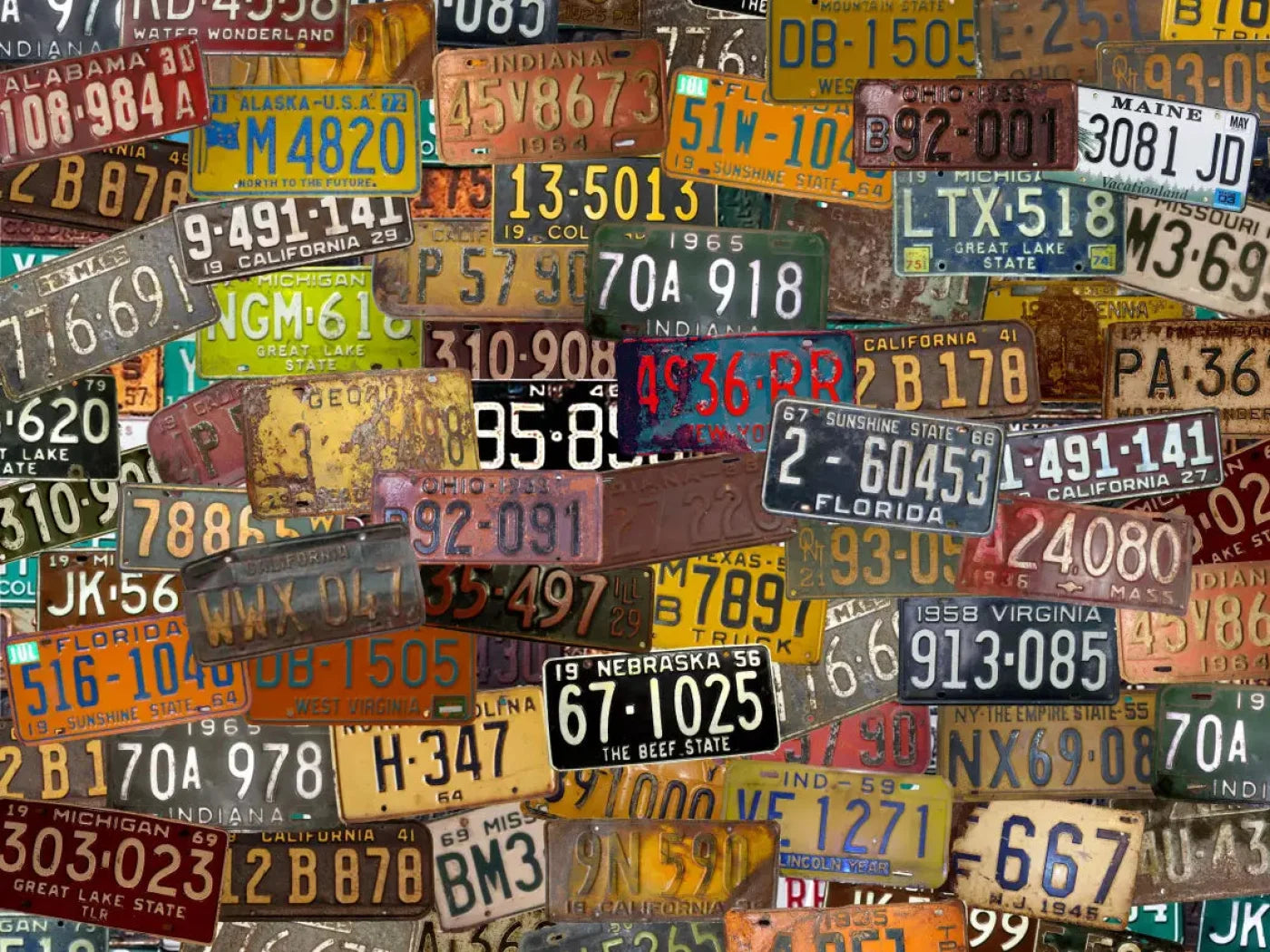 Plates 68X5 Fleece ( 80 X 60 Inch ) Backdrop
