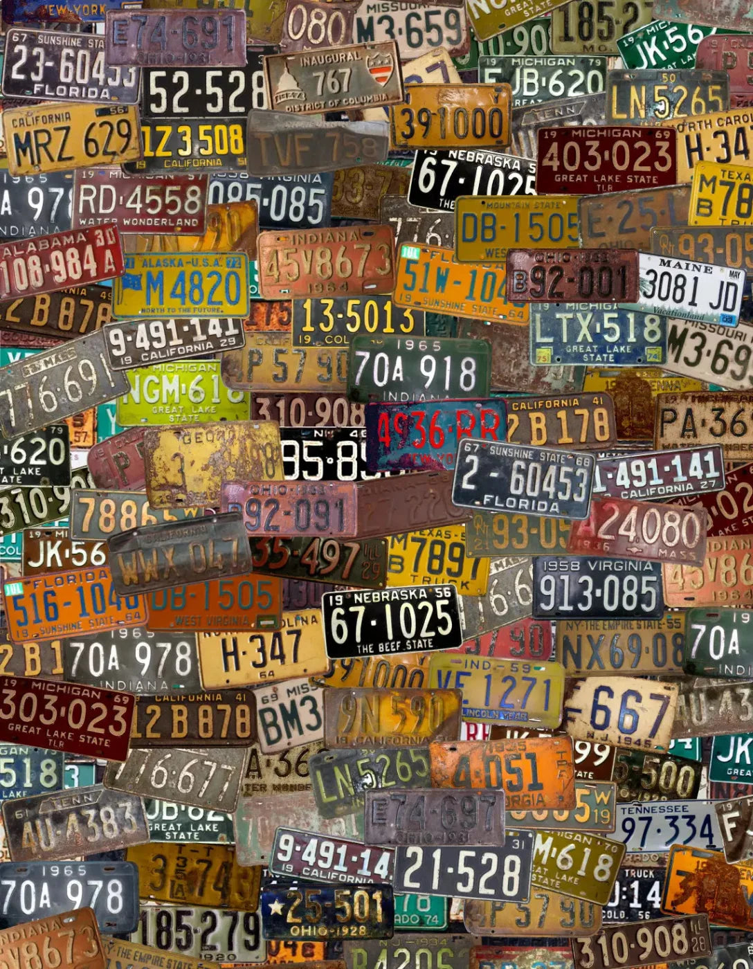 Plates 6X8 Fleece ( 72 X 96 Inch ) Backdrop