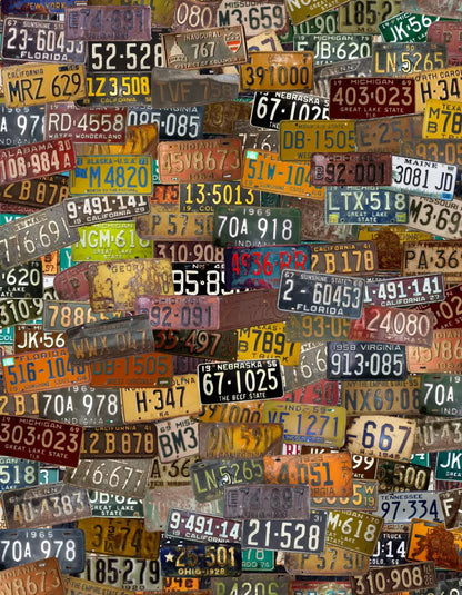 Plates 6X8 Fleece ( 72 X 96 Inch ) Backdrop