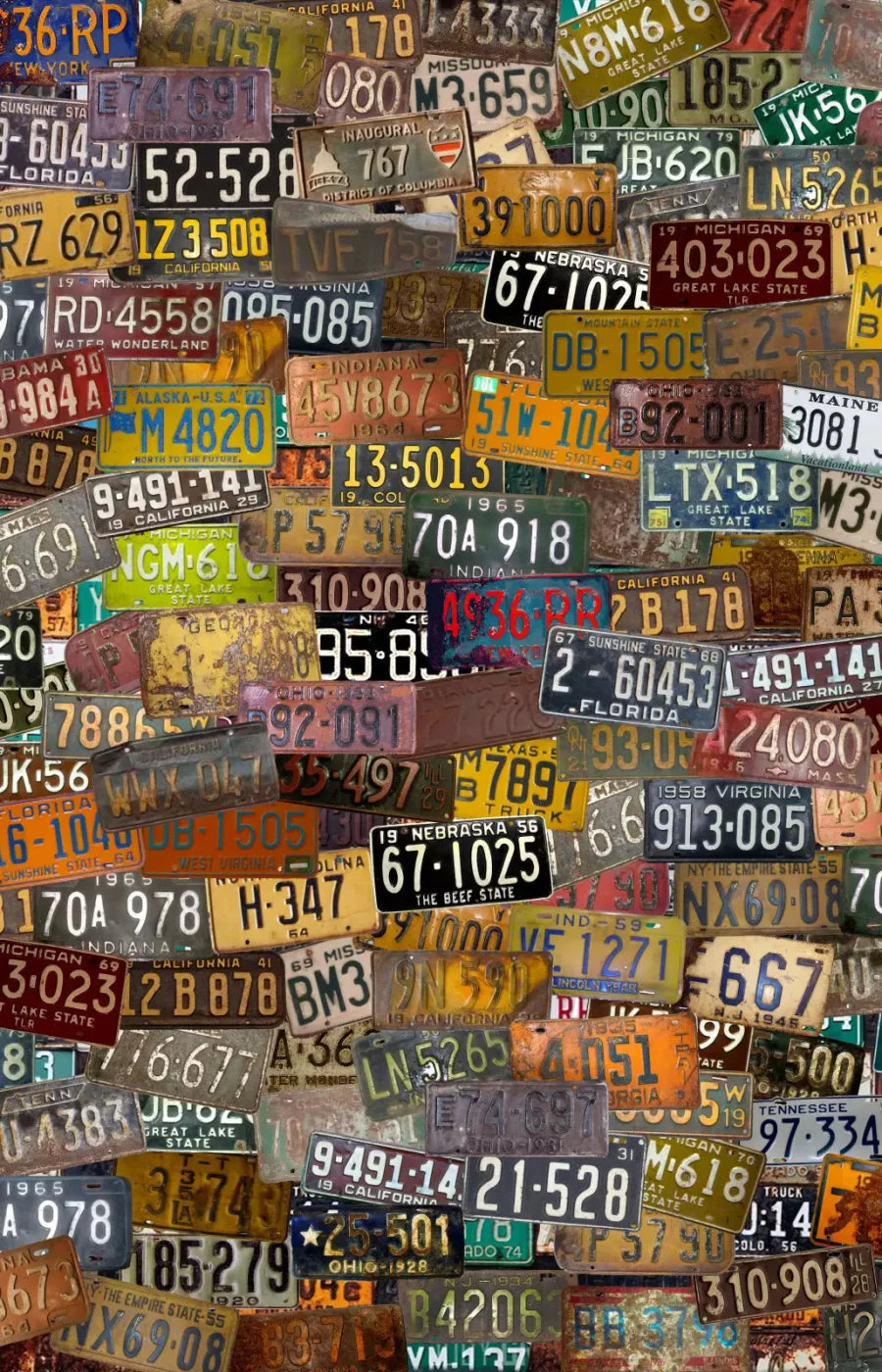 Plates 8X12 Ultracloth ( 96 X 144 Inch ) Backdrop