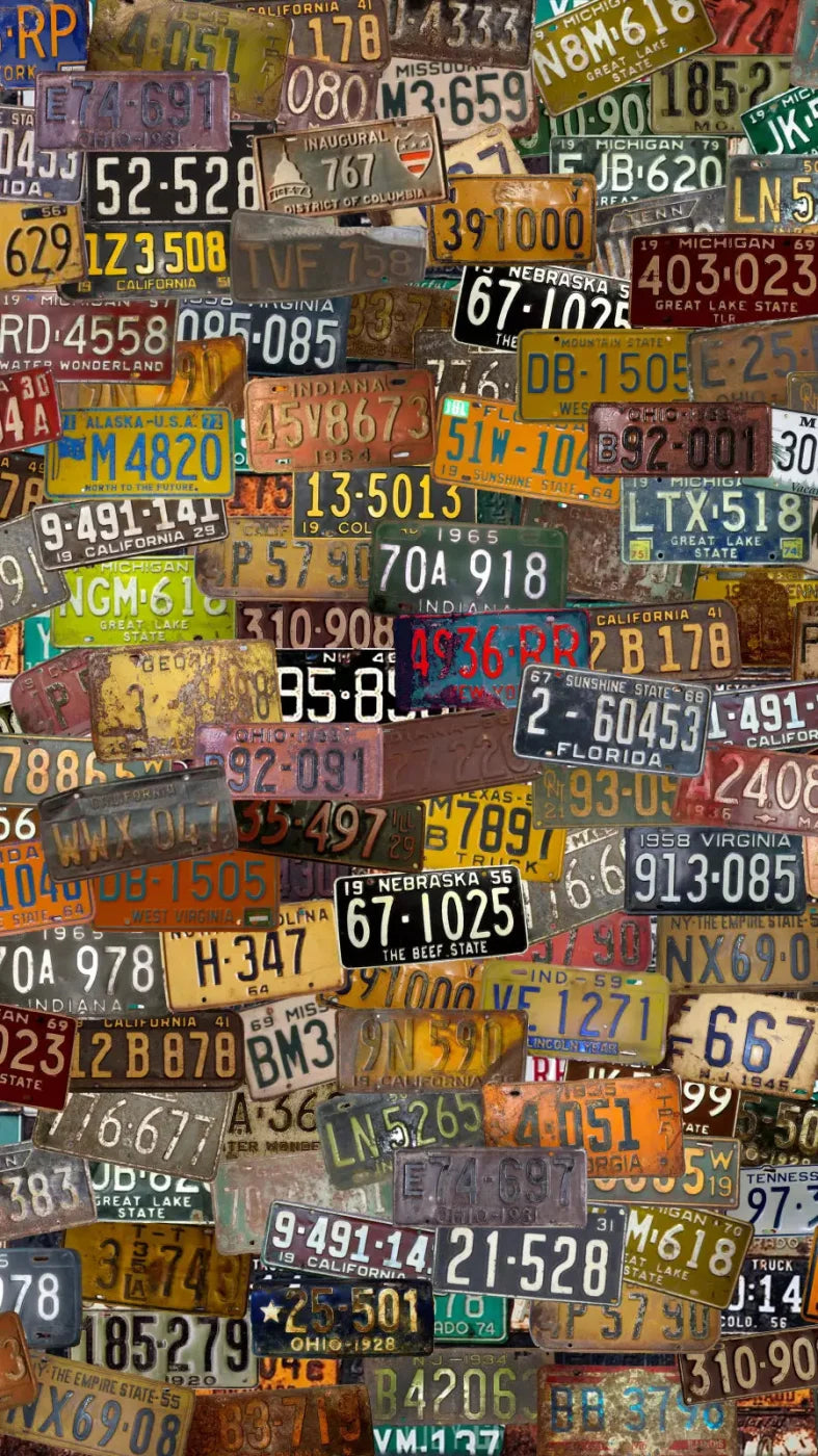 Plates 8X14 Ultracloth ( 96 X 168 Inch ) Backdrop