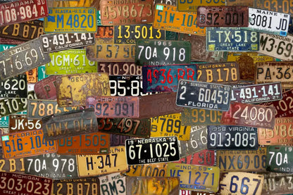 Plates 8X5 Ultracloth ( 96 X 60 Inch ) Backdrop