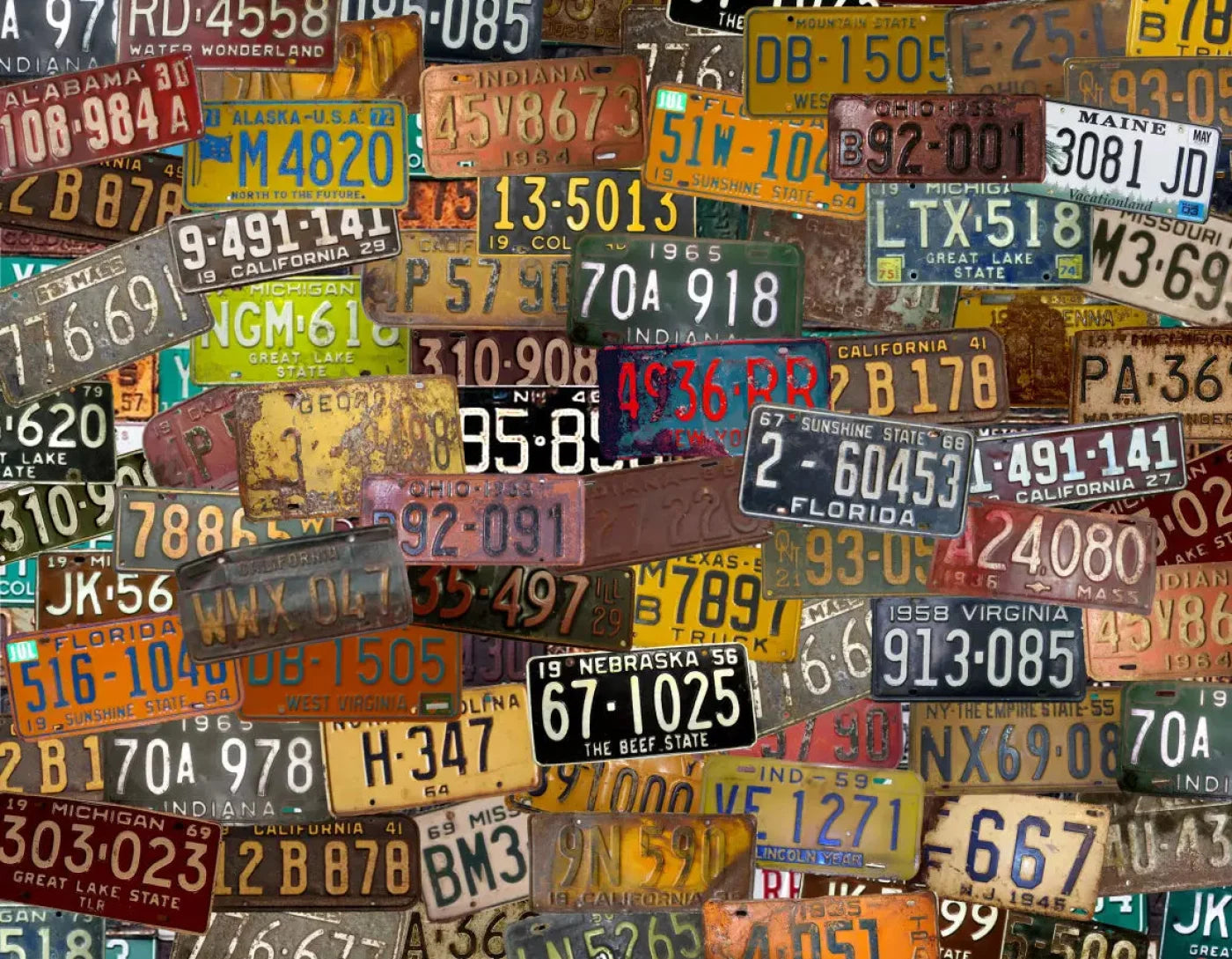 Plates 8X6 Fleece ( 96 X 72 Inch ) Backdrop