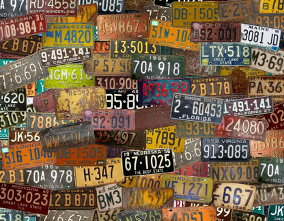 Plates 8X6 Fleece ( 96 X 72 Inch ) Backdrop