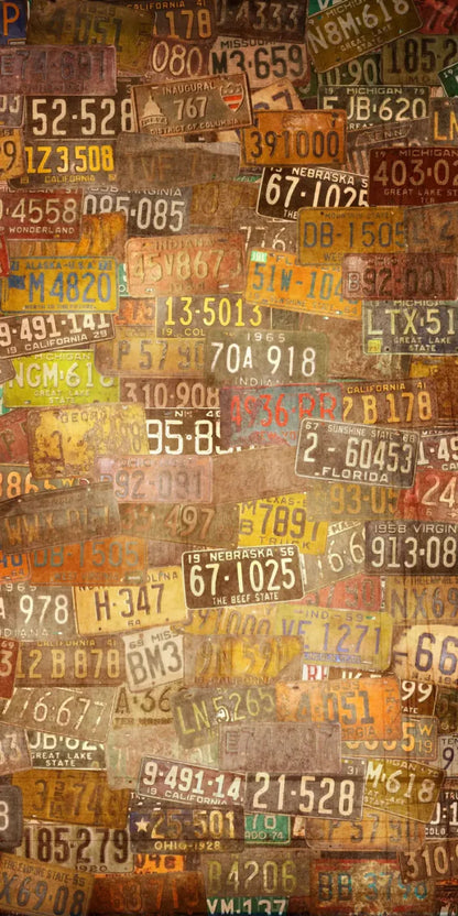 Platesvintage 10X20 Ultracloth ( 120 X 240 Inch ) Backdrop