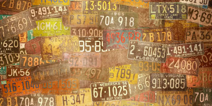 Platesvintage 20X10 Ultracloth ( 240 X 120 Inch ) Backdrop