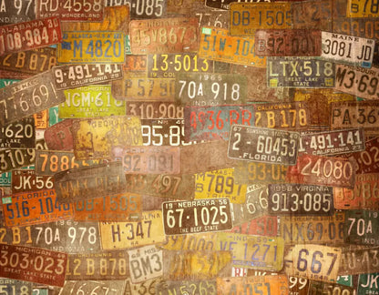 Platesvintage 8X6 Fleece ( 96 X 72 Inch ) Backdrop