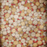Poko 8X8 Fleece ( 96 X Inch ) Backdrop