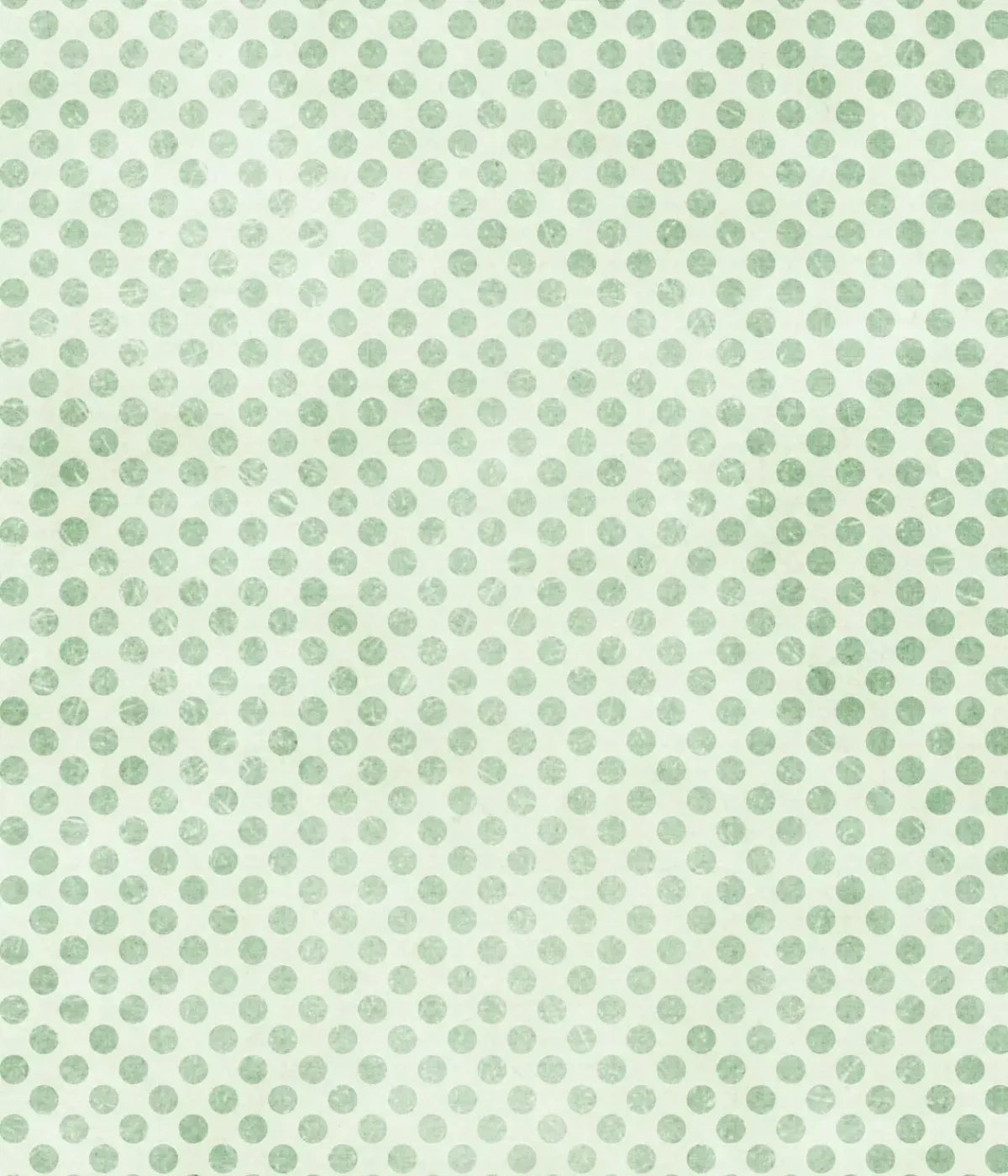 Polka Pea 10’X12’ Ultracloth (120 X 144 Inch) Backdrop