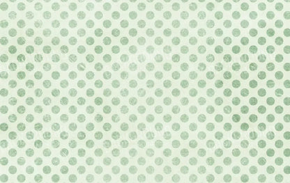 Polka Pea 16’X10’ Ultracloth (192 X 120 Inch) Backdrop
