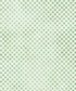Green Pattern Backdrop for Photography
