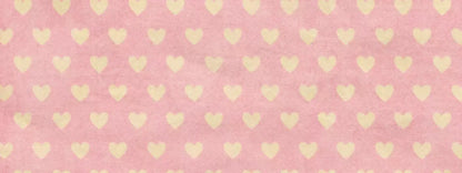 Pollie 20’X8’ Ultracloth (240 X 96 Inch) Backdrop